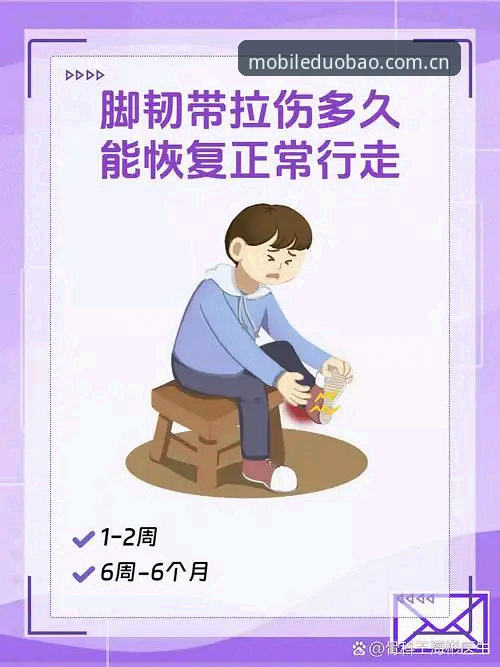 揭秘梅里诺欧冠决赛备战内幕：从脚伤到百分百恢复的完整过程
