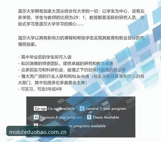 揭秘多宝体育中国官网2026最新版本的隐藏革新——运动迷不可不知的突破性功能